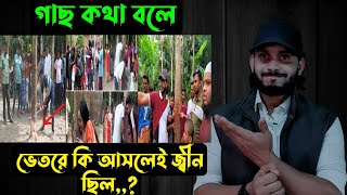 গাছ কথা বলেভেতরে কি আসলেই জ্বীন ছিল  Saif story [upl. by Einwahs]