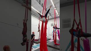 Aerial silks Red  aerialsilks silks aerial silkslove drops stunt acrobatics dance love [upl. by Schwarz980]