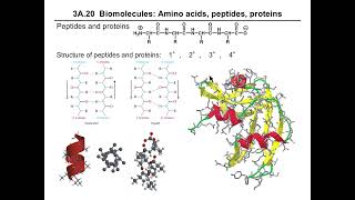 Ch3Anotes 1724 biomolecules [upl. by Gustavo6]