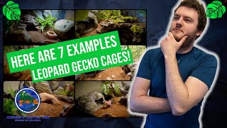 How To Setup the Best Leopard Gecko Enclosures [upl. by Colb658]