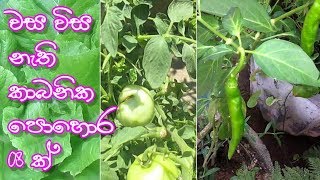 වස විස නැති කාබනික පොහොර 08 ක්  Organic Fertilizer for Good Health [upl. by Rebeca630]