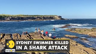 Sydney swimmer killed in a shark attack  First fatal incident since 1963  World English News [upl. by Dnallor51]