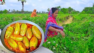 মাঠ থেকে টাটকা পটল তুলে চিংড়ি মাছের পুর দিয়ে পটলের দোরমা রান্না  Chingri Potoler Dorma recipe [upl. by Whitcher]