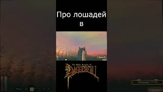 Про лошадей в TES Daggerfall shorts [upl. by Normandy267]