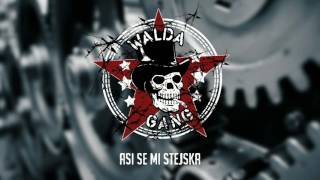 Walda Gang  Asi se mi stejska Official Audio [upl. by Raddie]