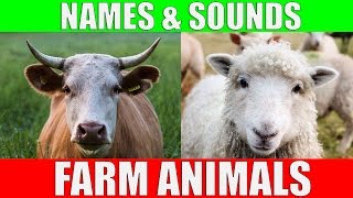 Farm Animals Names and Sounds for Kids to Learn  Learning Farm Animal Names and Sounds for Children [upl. by Dayle]