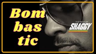 Bombastic  Shaggy  Lyric amp Cover [upl. by Monda]