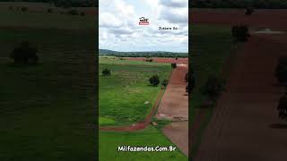 Fazenda em JussaraGO 157 Alqueires  Dupla Aptidão [upl. by Otis]