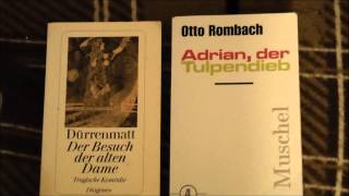 Buchempfehlung Adrian der Tulpendieb Otto Rombach [upl. by Cowley14]