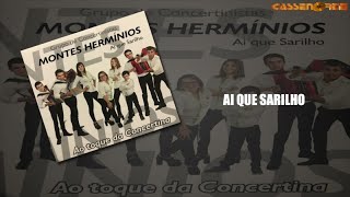 Grupo de Concertinistas Montes Hermínios  Ai que sarilho [upl. by Odnalref]