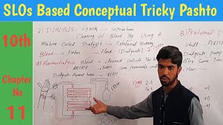 18 Dialysis types procedure difference between peritoneal and haemodialysis biology in pashto [upl. by Ainala230]