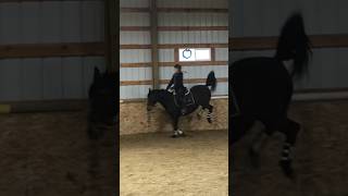 FAIL dressage horse has the cutest buck equestrian fail dressage [upl. by Ylrehs]