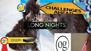 rart and cart all challenges long times nights og laser pointer 2nd victor [upl. by Munroe]