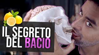 Cose da sapere quando BACI La neuroscienza del limone [upl. by Llenrep]