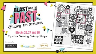 Blast from the Past Mystery Sampler Tips for Sewing Skinny Strips [upl. by Lonna273]