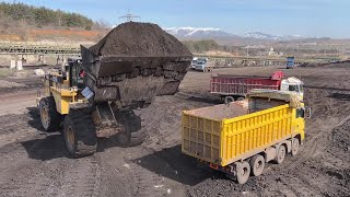 Caterpillar 365C Excavator Loading Trucks And Operator View [upl. by Ganley835]