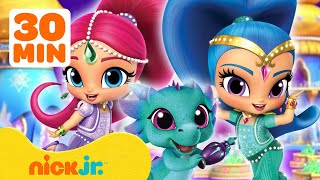 Shimmer and Shine Rescue Animals w Leah amp Zeta the Sorceress  30 Minute Compilation  Nick Jr [upl. by Ventura646]