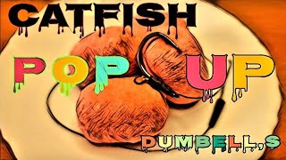 Catfish  Wels Pop Ups selbst hergestellt  Catfish Pop Up Dumbells catfish fishing wels fish [upl. by Jacquelyn]