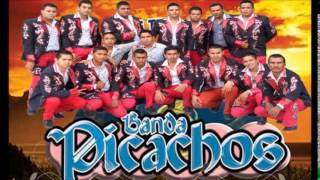 EL AMIGO  Banda Picachos 2014 [upl. by Sosthina]