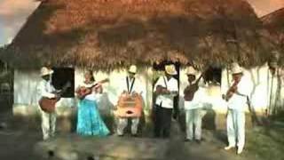 Los Utrera  Son Jarocho [upl. by Felt]