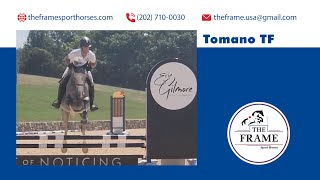 Tomano TF  Morven Park Schooling Jumpers Jump Off [upl. by Anak]