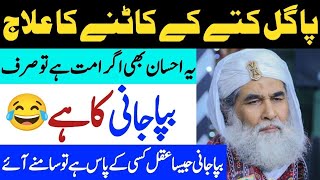 ilyas qadri ki jhooti kahania  qadri funny  Ilyas Qadri ki jahalat  Ahsan Gondal [upl. by Ssilem]