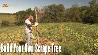 Deer Hunting Tips  Build your own scrape tree [upl. by Simonsen]