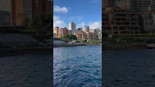 Kirribilli lookout🇦🇺trending ytshorts ytshortsindia youtuber youtubeshort viral video al [upl. by Sophey]