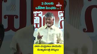 3నెలలకు ఒకేసారి పింఛను [upl. by Stalker]