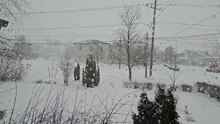 Snow Strom in Ontario  CANADA [upl. by Agiaf]