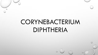 Microbiology corynebacterium diphtheria [upl. by Francoise]