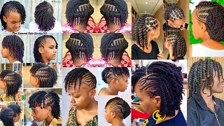 Natural Hair Twist Styles  Twist Hairstyles for Natural [upl. by Treblihp]