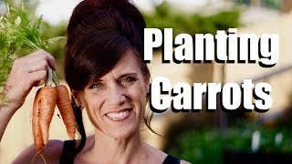 Planting Carrot Seeds in a Container with DIY Potting Mix  10 Garden Series 3 Season 2 [upl. by Herman]