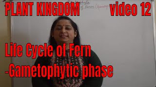 Life Cycle of Fern GAMETOPHYTE BIOLOGY  ISC CBSE NEET  Board exams [upl. by Alleuol]