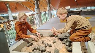 De Krukjes weekendje Roompot lunsbergen Borger Hunebedden centrum Land van Bartje zwemmen [upl. by Xavler]