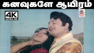 Kanavugale Auyiram Song TMS Pசுசீலா பாடிய பாடல் கனவுகளே ஆயிரம் கனவுகளே [upl. by Yelsehc514]