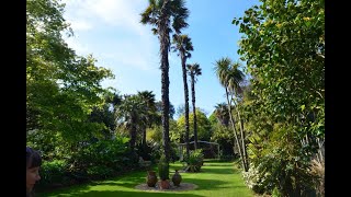 Abbotsbury Sub Tropical Gardens [upl. by Yatnuahc581]