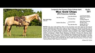 Pitzer Ranch Fall Sale 2024 Lot 301 WYO GOLD CHIPS [upl. by Keller]