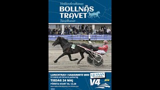 Bollnästravet 220524 Kval 2 Premie [upl. by Killoran]