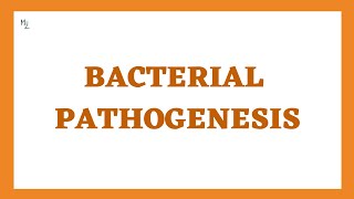 Bacterial Pathogenesis Stages Determinants and Virulence  This is How Bacteria Cause Damage [upl. by Atillertse]