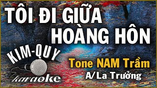 TÔI ĐI GIỮA HOÀNG HÔN  KARAOKE  Tone NAM Trầm  ALa Trưởng [upl. by Bellaude689]