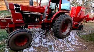 Feeding Milking and Cleaning Cows on a Small Family Dairy Farm [upl. by Assiar]