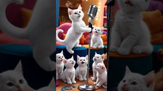 Kittens choir  A whimsical concert foryou cat concert entertainment shortsfeed funny fun [upl. by Jobi]