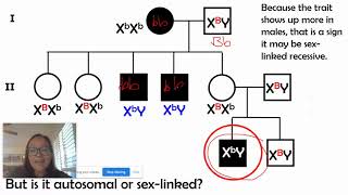 Pedigree Practice wPatterns of Inheritance AP Bio Unit 5 [upl. by Palocz]