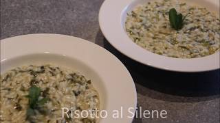 Risotto al Silene [upl. by Nniuqal]