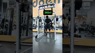 Gaining momentum youtubeshorts squats powerbuilding [upl. by Etat]