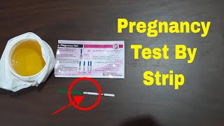 Pregnancy Check by Pregnancy Strip Test [upl. by Eltsirk]