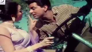 Shikar Karne Ko Aaye  Mohammed Rafi  Dharmendra Asha Parekh [upl. by Appledorf]