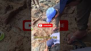 Fast time fish catch in Madh in Maladfish fishing travel [upl. by Robinette]