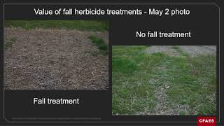 Herbicide Management in non GMO corn and soybeans [upl. by Charmain]